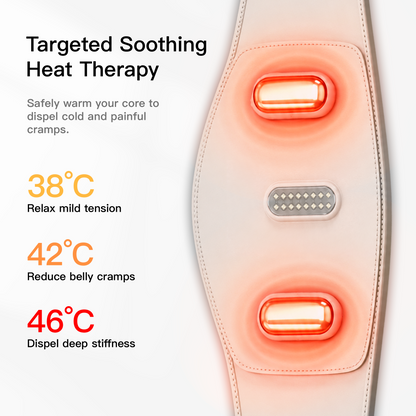 Swirise AeroHeat Compression Waist Massager